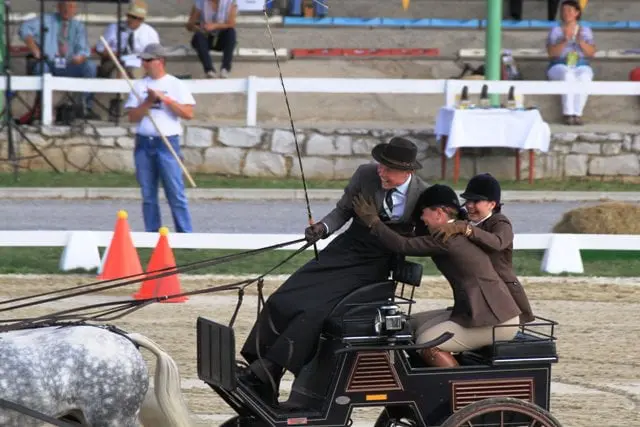 Serie ‘Met Bram naar Breda’ Aflevering 12: Vertrek (Slot) featured image