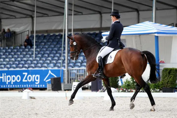 Blessure voor Filion en Van der Heijden featured image