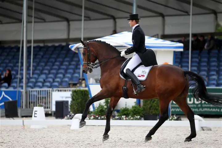 Edward Gal ook beste in Kür (video) featured image