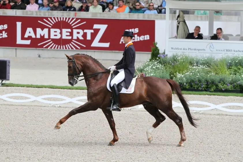 Hans Peter Minderhoud met Tango