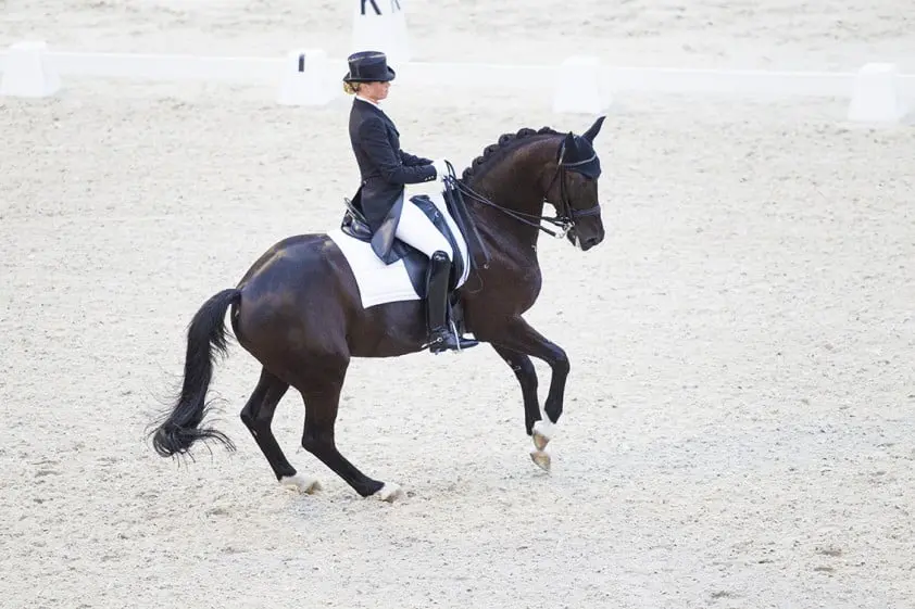 Morgan Barbancon en Painted Black