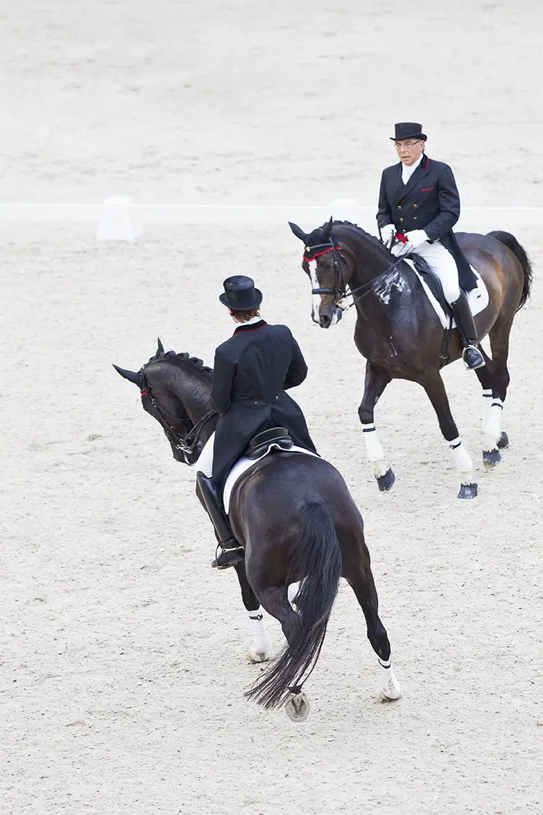 Show Laurens en Leunus van Lieren