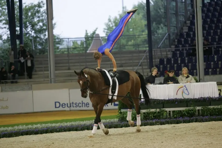 Wisselende Nederlandse resultaten in eerste ronde featured image