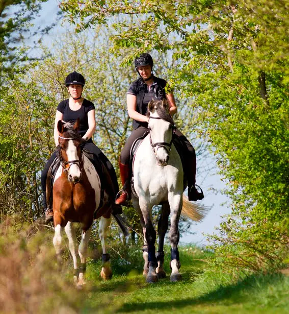Samenwerking leidt tot goed onderhouden ruiterpaden in Zeeland featured image