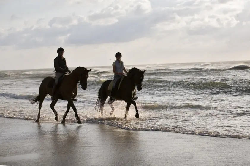 Met 400 Friezen naar het strand featured image