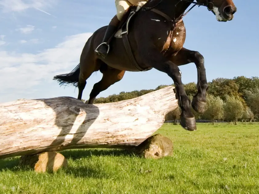 Braziliaans eventingteam komt man tekort featured image