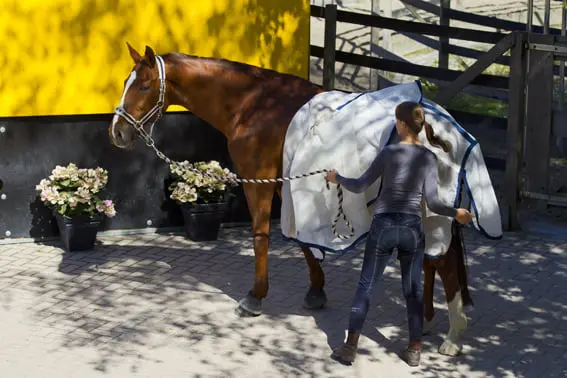 Brits onderzoek naar werkomstandigheden groom featured image