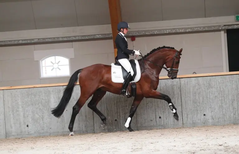 Emerson (Wynton x Flemmingh)