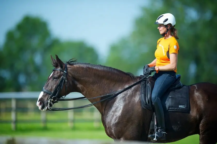Anky van Grunsven met Salinero