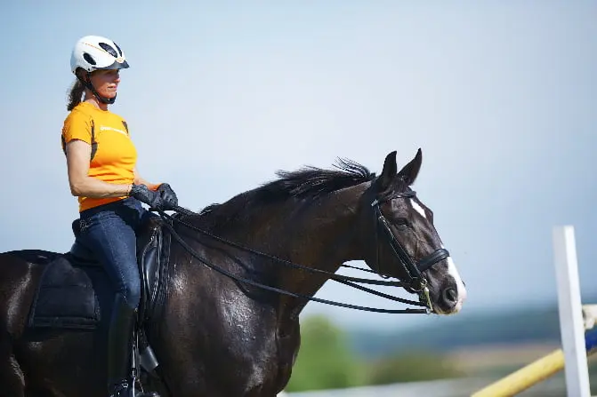 Anky van Grunsven met Salinero