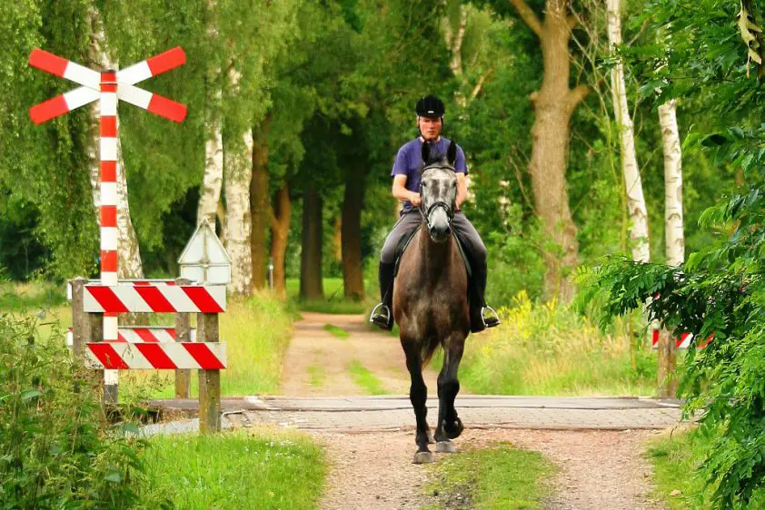 placeholder spoor, spoorbaan, recreatief, buitenrit