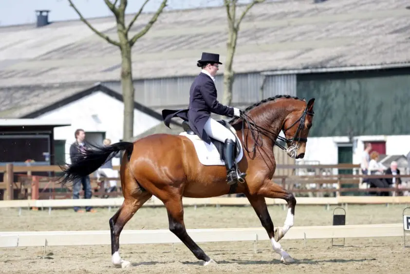 Margo Timmermans met Utah
