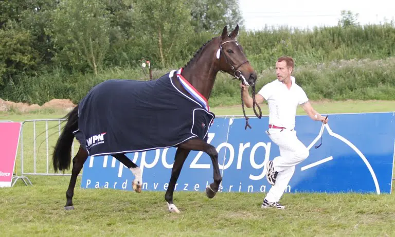 Euroloma springkampioen featured image