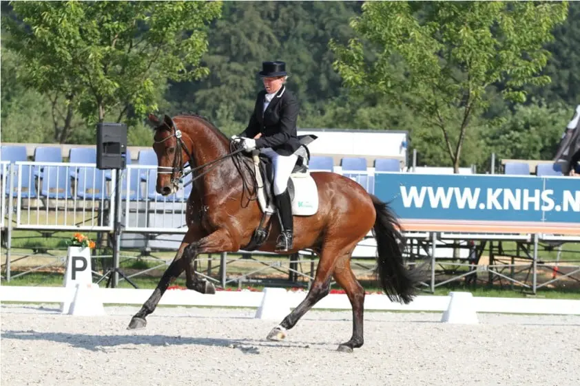 Annemiek Vincourt met Kansas C (v. Krack C)