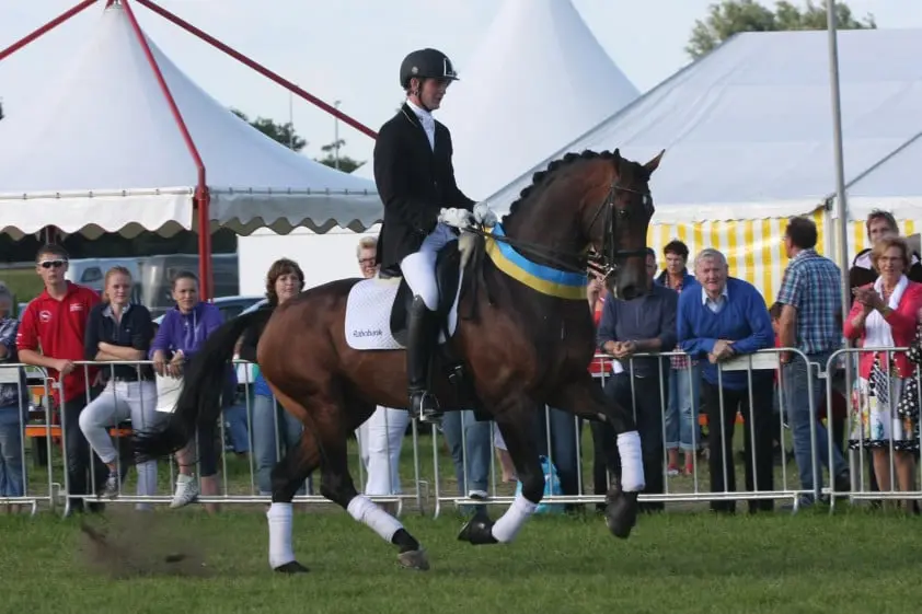 Van Silfhout en Briljant blijven concurrentie voor in ZZ-Licht featured image