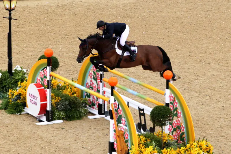 ﻿﻿﻿James Paterson Robinson individueel verder featured image