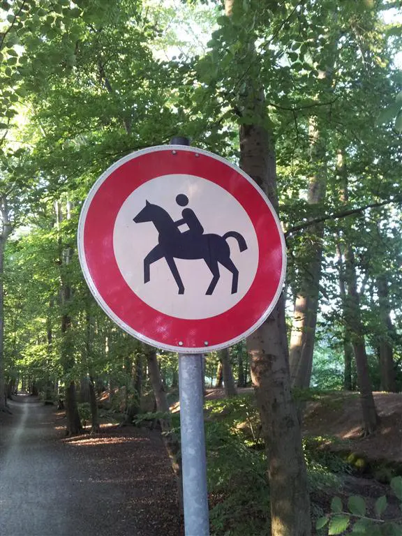 Paard veroorzaakt file op A10 featured image