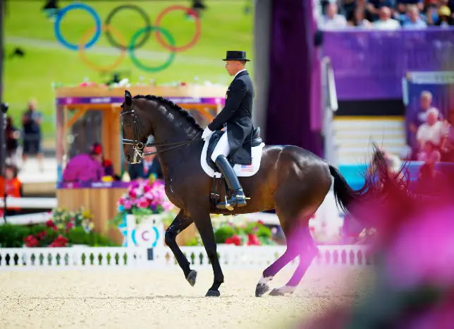 Steffen Peters, Ravel