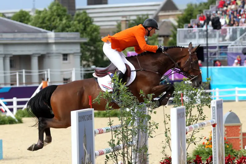 Tamino en London op gedeelde eerste plaats WBFSH-ranking featured image
