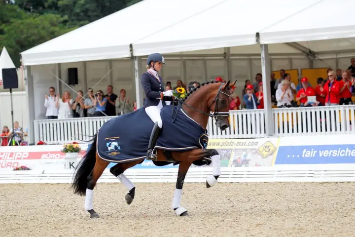 Borencio verkocht aan Young Rider featured image