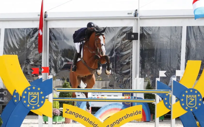 Stephex verkoopt Nagano-dochter Fieve naar Frankrijk featured image