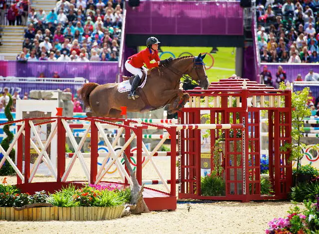 Cylana van de Ruitershoeve Belgisch Paard van het jaar featured image