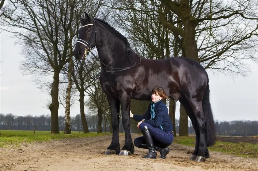 Tsjabring, met Judith Pietersen