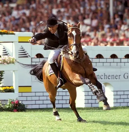 Stephen Barcha rijdt Nelson Pessoa’s Ad Jacpote naar winst featured image