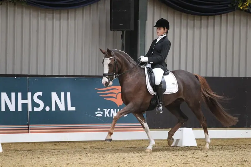 Demy Kurstjens, Nina van de Beekerheide