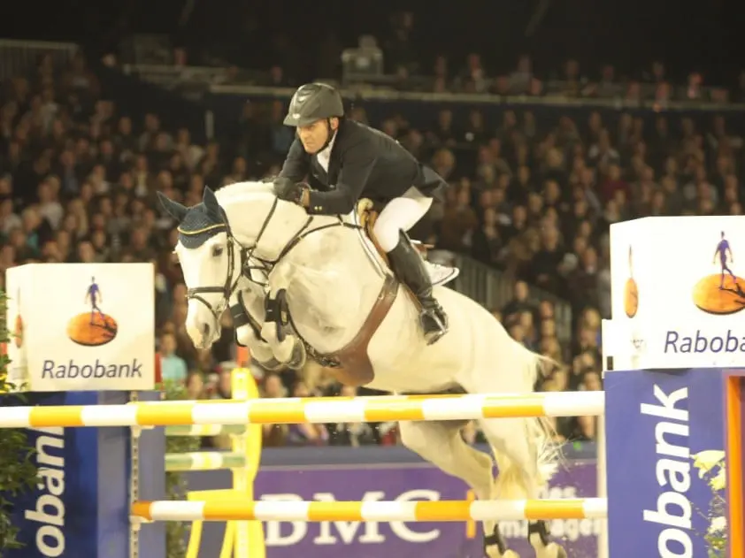 Winst voor Stenfert featured image