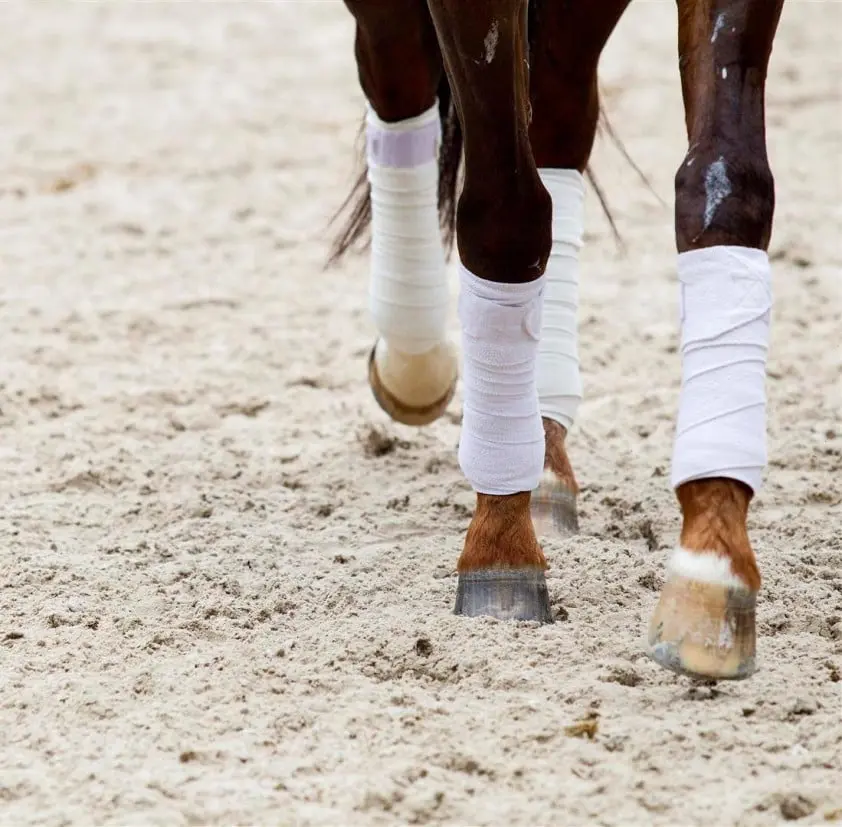 Fleur Prinsen en Sanne Buijs zorgen voor Nederlandse overwinningen featured image