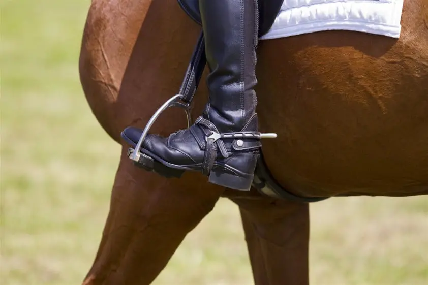 Doorgedraaide dierenvrienden featured image