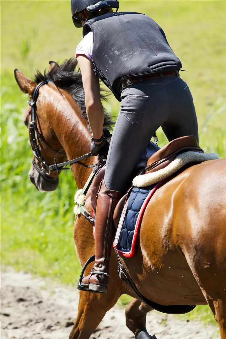 Nederlandse young riders voorlopig op EK-brons featured image