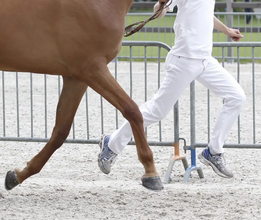 Zinloos featured image