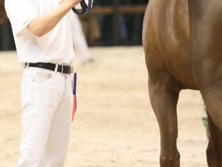 De Brabander deel van Z-keuringscommissie featured image