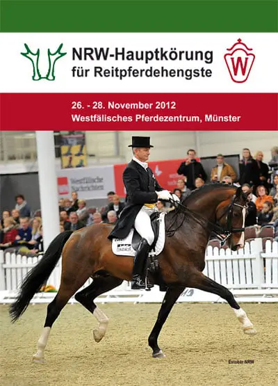 HK NRW: 35 hengsten goedgekeurd featured image