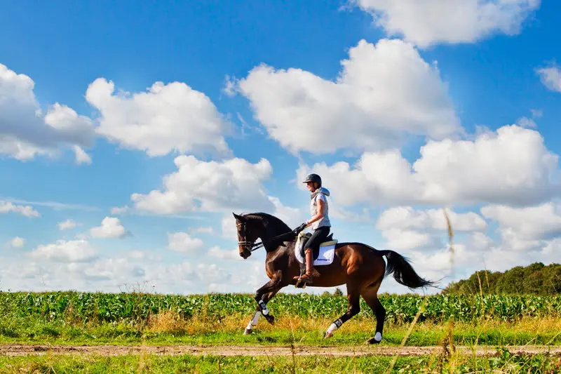 Imke Schellekens-Bartels en Sunrise