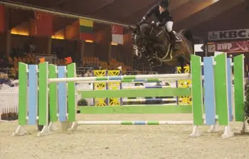 Marit Skollerud nieuwe amazone Okidoki van ’t Gelutt Z featured image