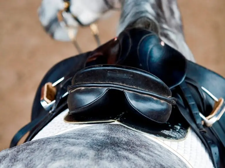 Grote zadelroof op paardensportbeurs Fiera Cavalli featured image