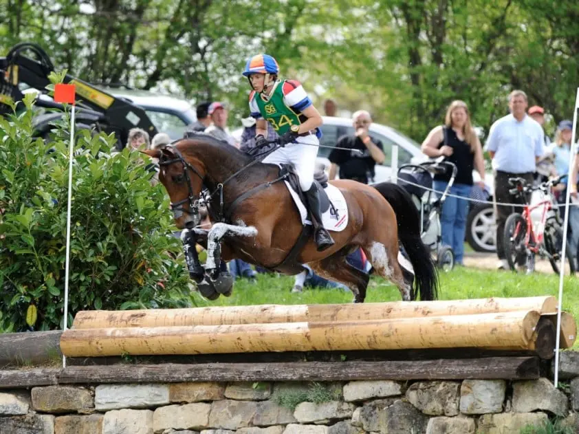 Virtuele cross CHIO Aken online featured image