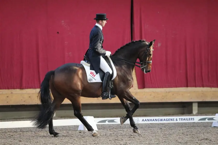 Dorien Höppener in sneltreinvaart door ZZ-Zwaar featured image