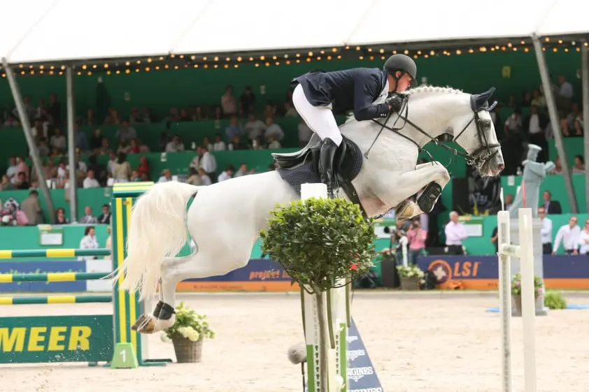 Hengst Casco plotseling overleden featured image