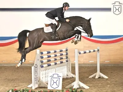 Holsteiner springkampioenen van Cassin, Colman en Casall featured image