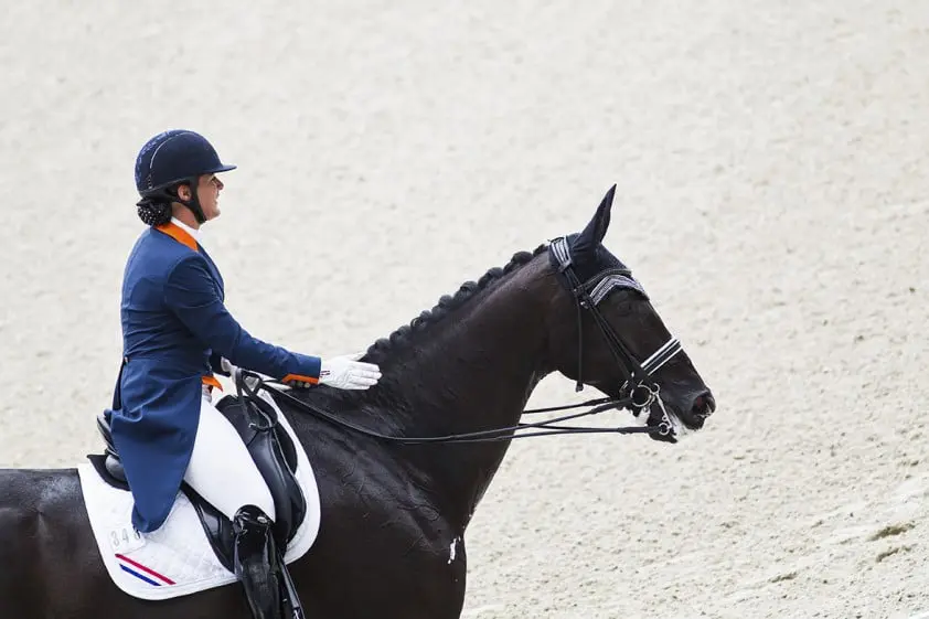 Wim Ernes: ‘Score Heijkoop bevestiging van haar kwaliteiten’ featured image