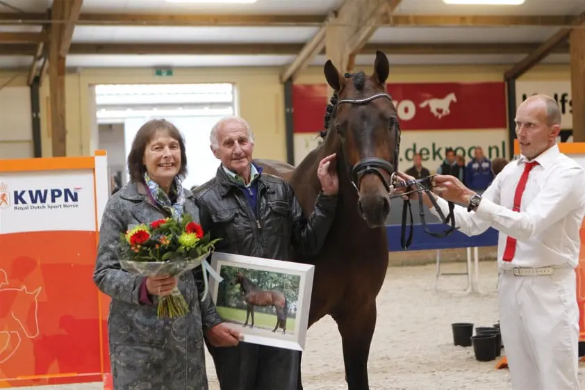 Electron onder het zadel van Fieke Houwen featured image