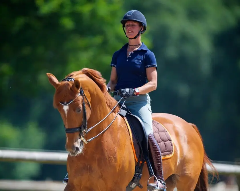 Jerich Parzival fit voor EK featured image