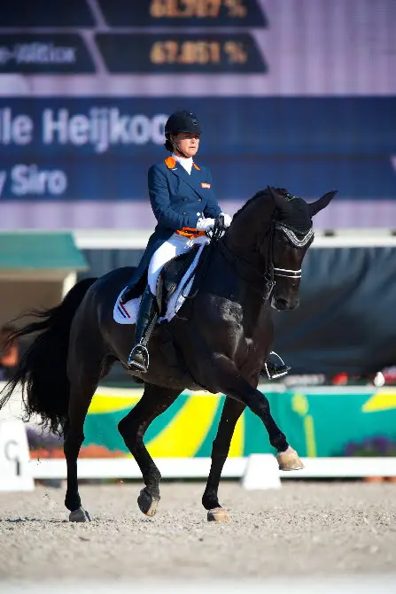 Heijkoop wint Grand Prix Special in Oldenburg featured image