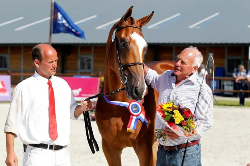 Friesland met tien springmerries naar NMK featured image