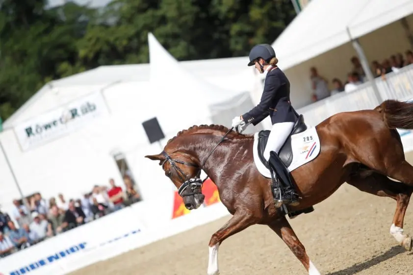 KWPN-hengst Charmeur niet in kleine finale featured image