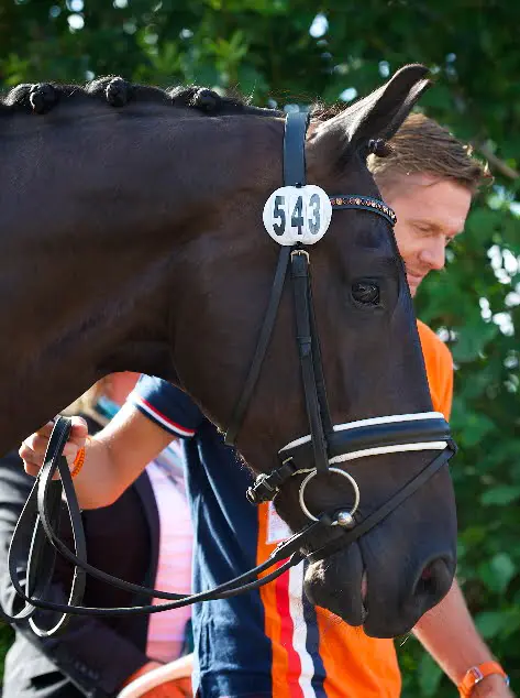 Startlijsten van donderdag online featured image